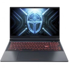 Ноутбук Thunderobot R16 (R16-i9139HX58C1Q300RG)