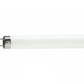 Лампочка Philips TL-D G13 600mm 18W/54-765 1SL/25 (928047305451)