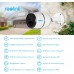 Камера видеонаблюдения Reolink Go Plus