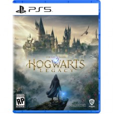Игра Sony Hogwarts Legacy, BD диск (5051895413425)