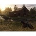 Игра Sony Red Dead Redemption 2, BD диск (5026555423052)