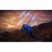 Игра Sony Elden Ring Nightreign, BD диск (3391892035841)