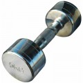 Гантель Stein хромована 5 кг (DB3002-5)