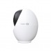 Камера відеоспостереження TP-Link TAPO-C260