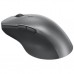 Мишка Lenovo Professional Bluetooth Rechargeable Grey (4Y51J62544)