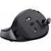 Мышка Trust Bayo + Ergonomic Wireless/Bluetooth Black (25146)