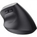Мышка Trust Bayo + Ergonomic Wireless/Bluetooth Black (25146)