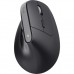 Мышка Trust Bayo + Ergonomic Wireless/Bluetooth Black (25146)