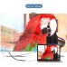 Переходник USB2.0 Type-C to HDMI V1.4b 40273 white Ugreen (40273)